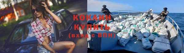 дурь Болохово