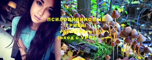 прущий лед Осташков