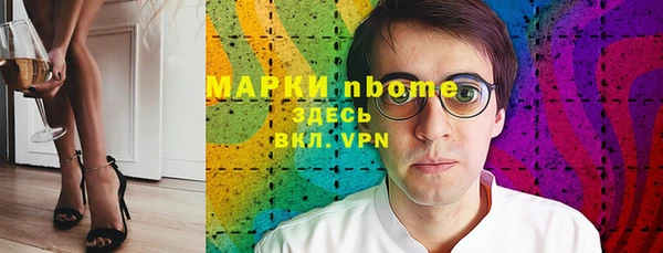 хмурый Нестеровская